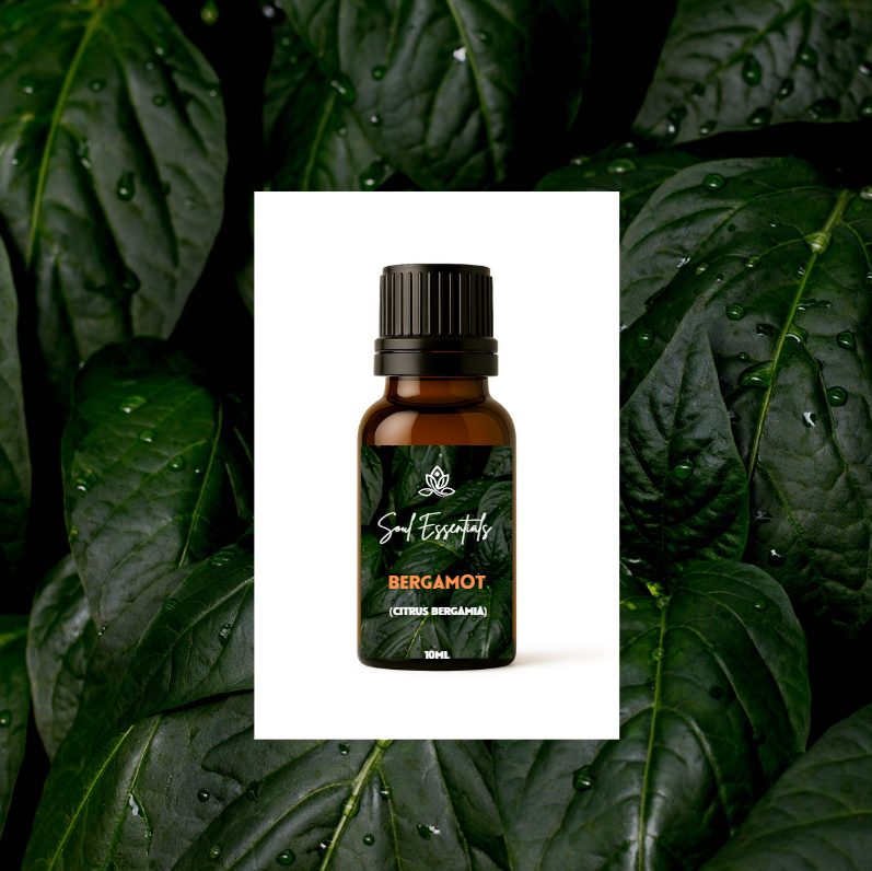 Bergamot Essential Oil (Citrus bergamia)