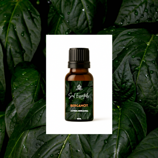Bergamot Essential Oil (Citrus bergamia)