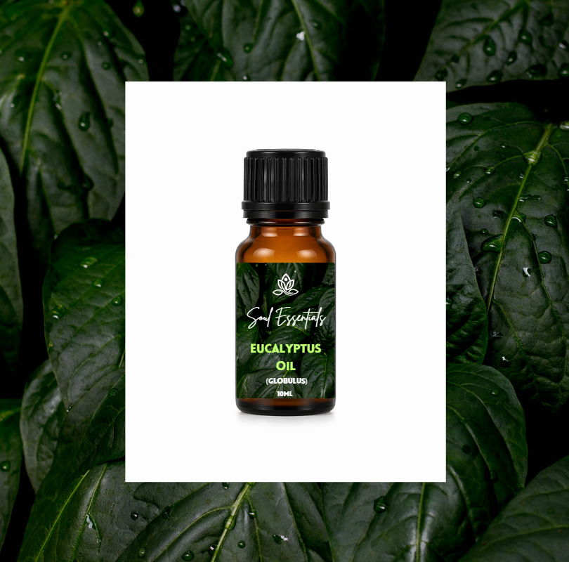 Eucalyptus Essential Oil (Globulus)