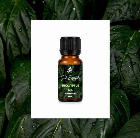 Eucalyptus Essential Oil (Globulus)