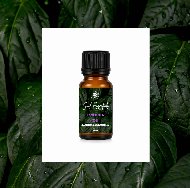 Lavender Essential Oil (Lavandula angustifolia)