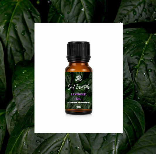 Lavender Essential Oil (Lavandula angustifolia)