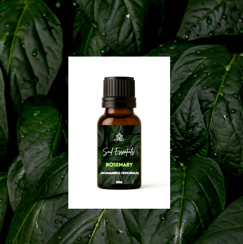 Rosemary Essential Oil (Rosmarinus officinalis)