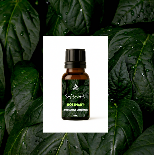 Rosemary Essential Oil (Rosmarinus officinalis)