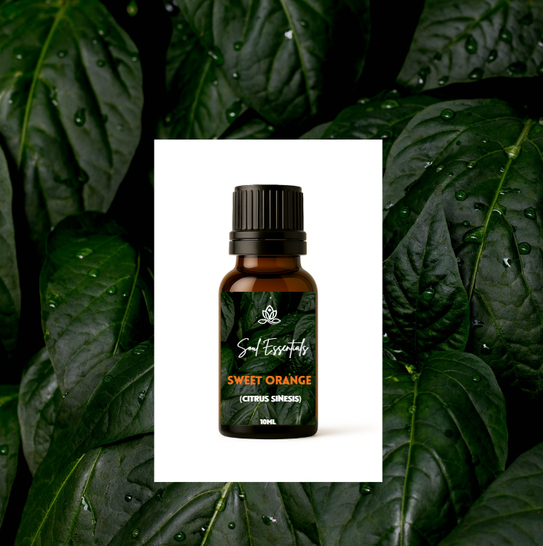 Sweet Orange Essential Oil (Citrus sinensis)