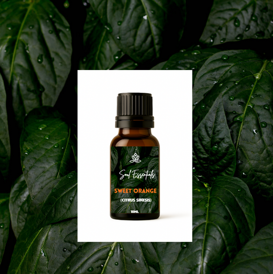Sweet Orange Essential Oil (Citrus sinensis)