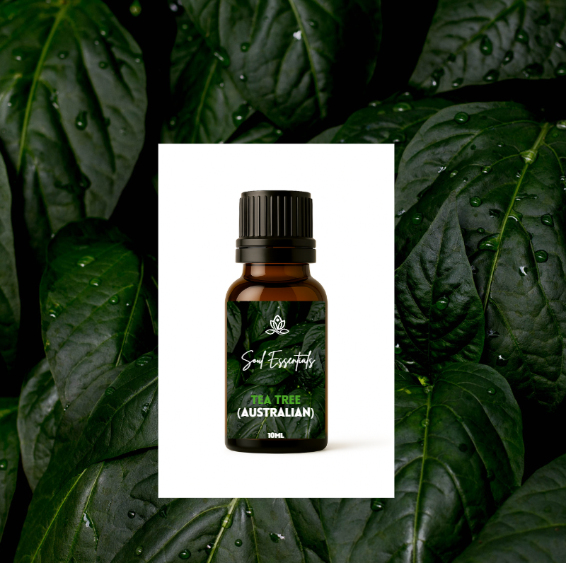 Tea Tree Essential Oil (Australian)
