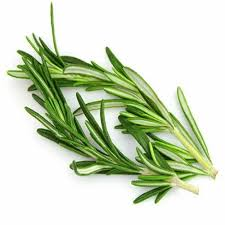 Rosemary Essential Oil (Rosmarinus officinalis)